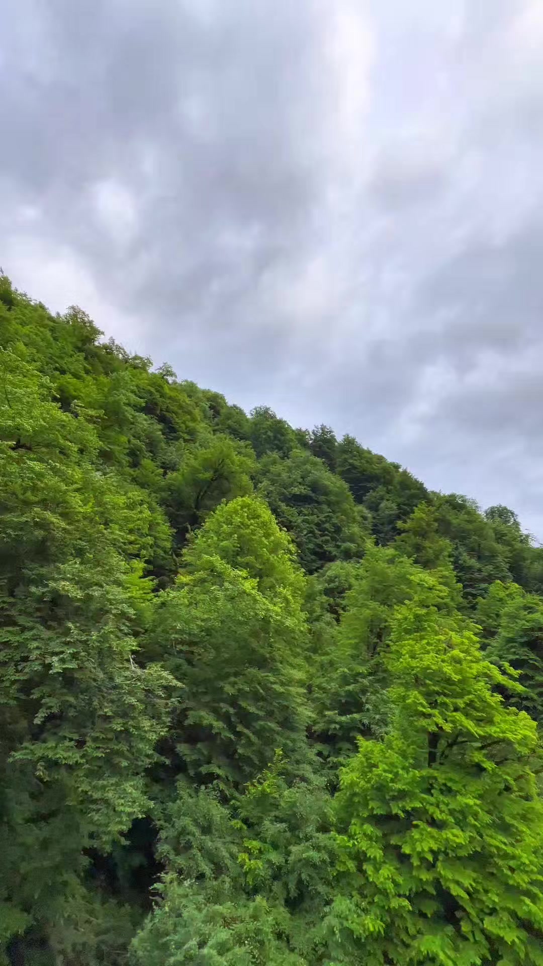 @𝑺.🇦🇿