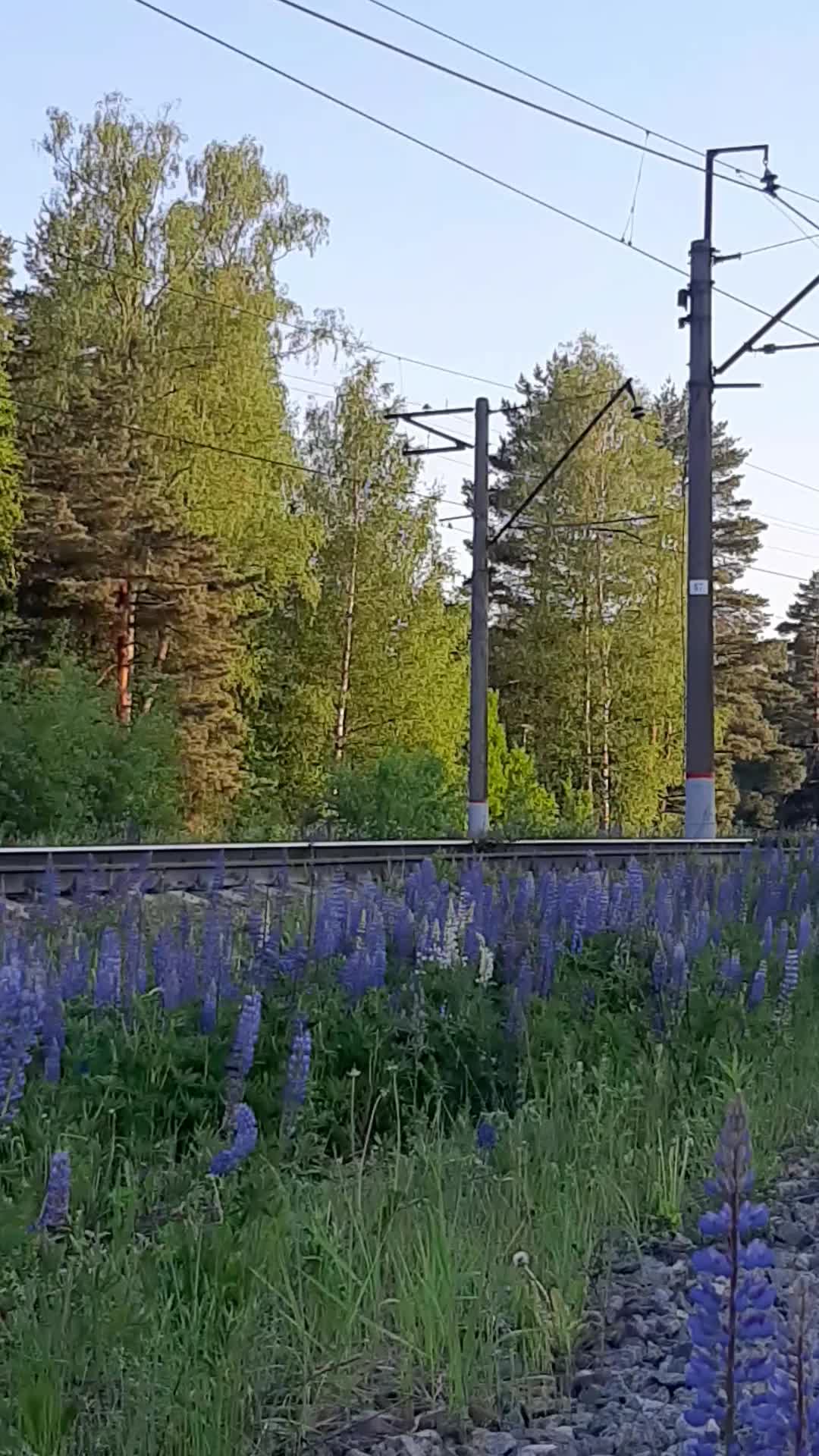 @rzd_fan_18