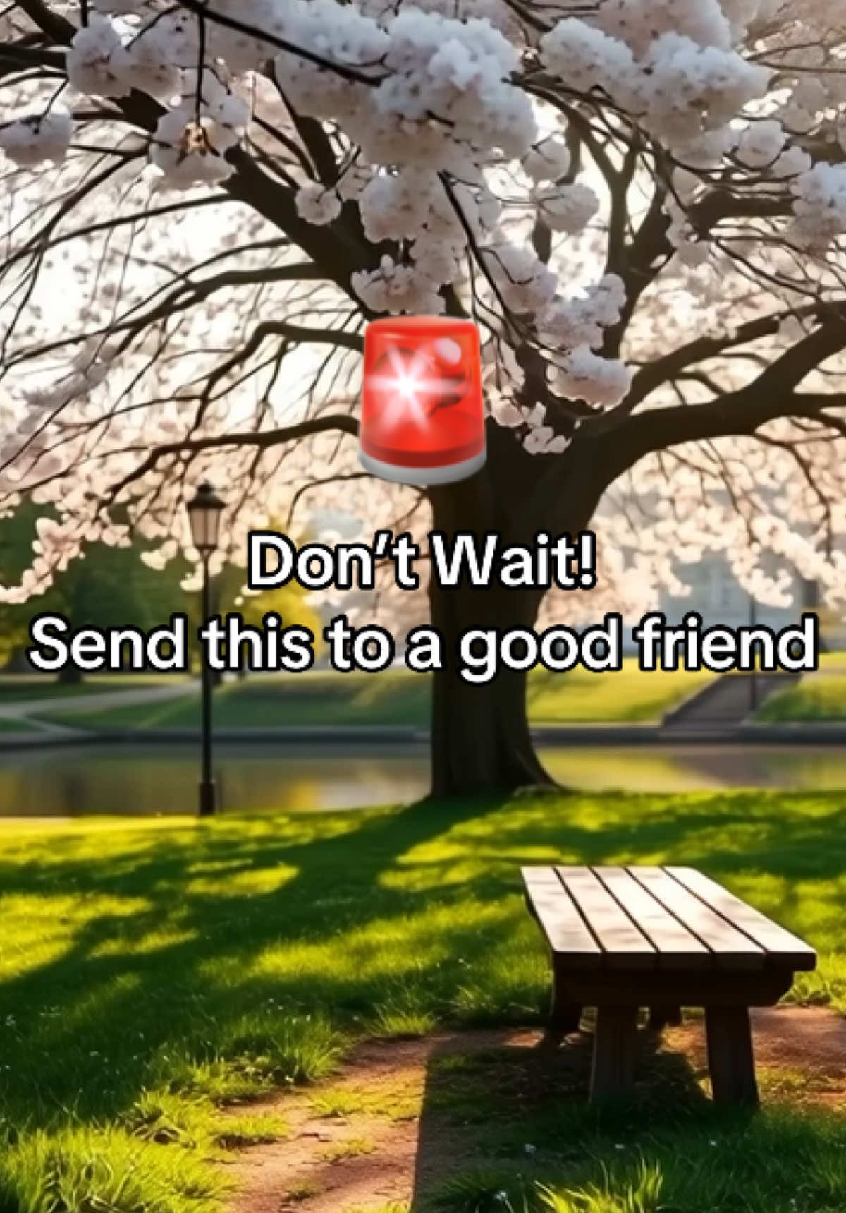 @soultruth79