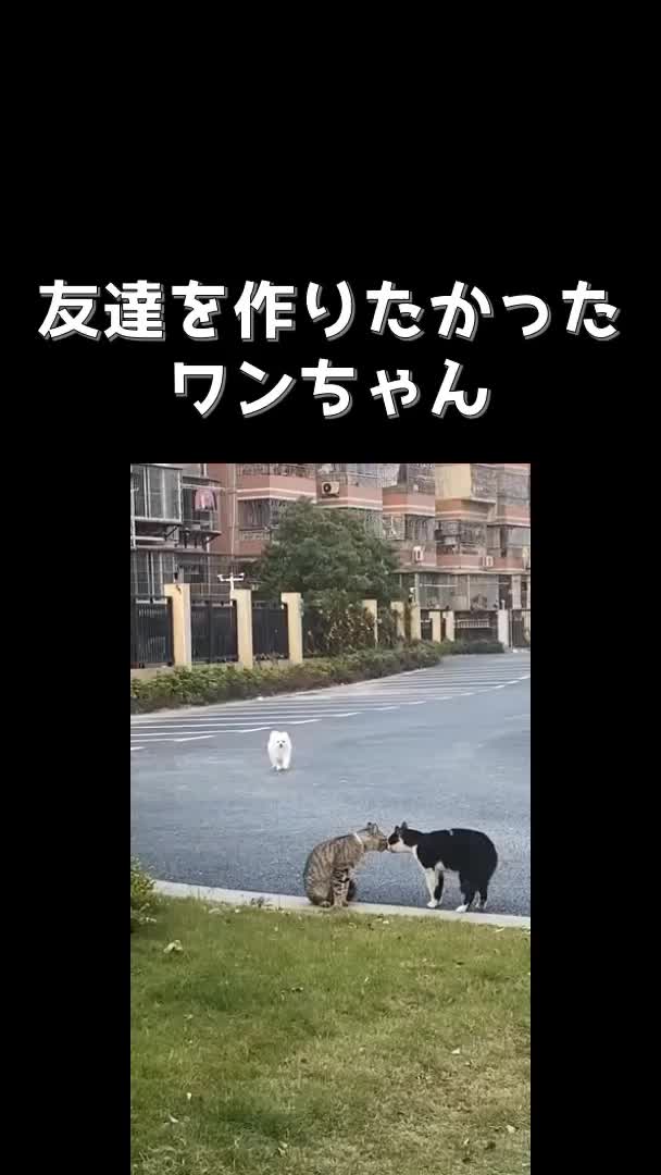@user73433766013271