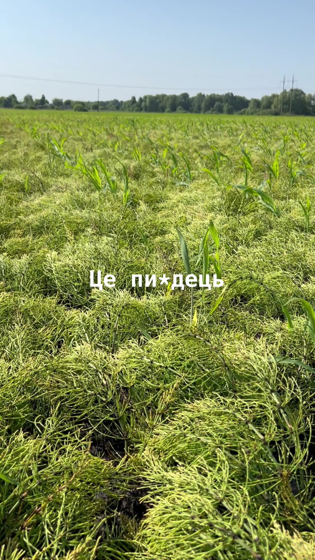 @Sasha🇺🇦John Deere🇺🇦🚜🌾🌽