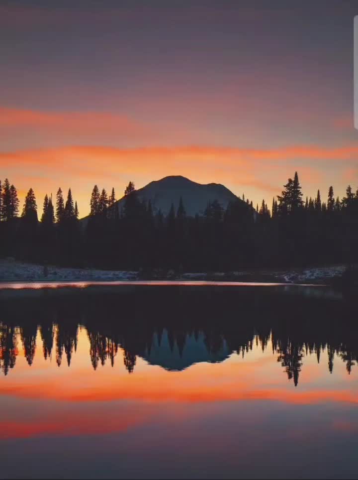 @ziasummer505