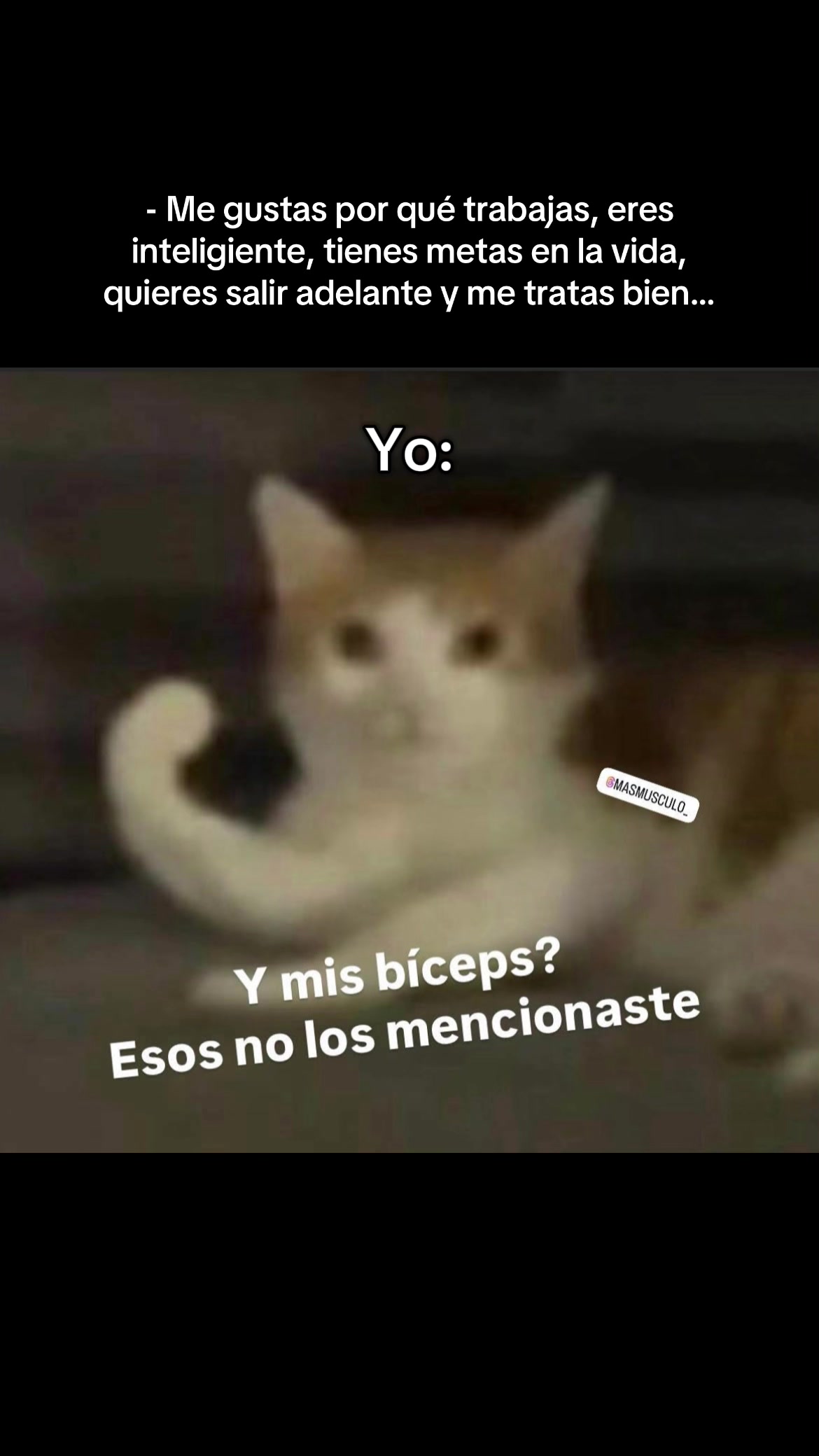 @Alaneart