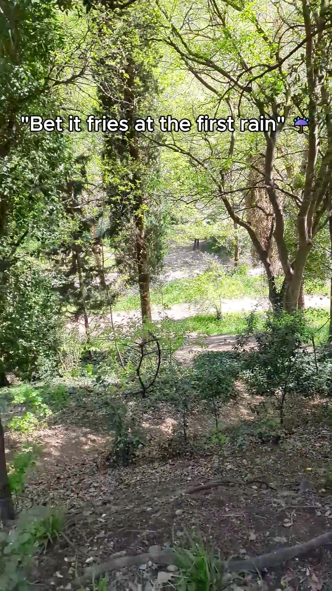 @pov.runner