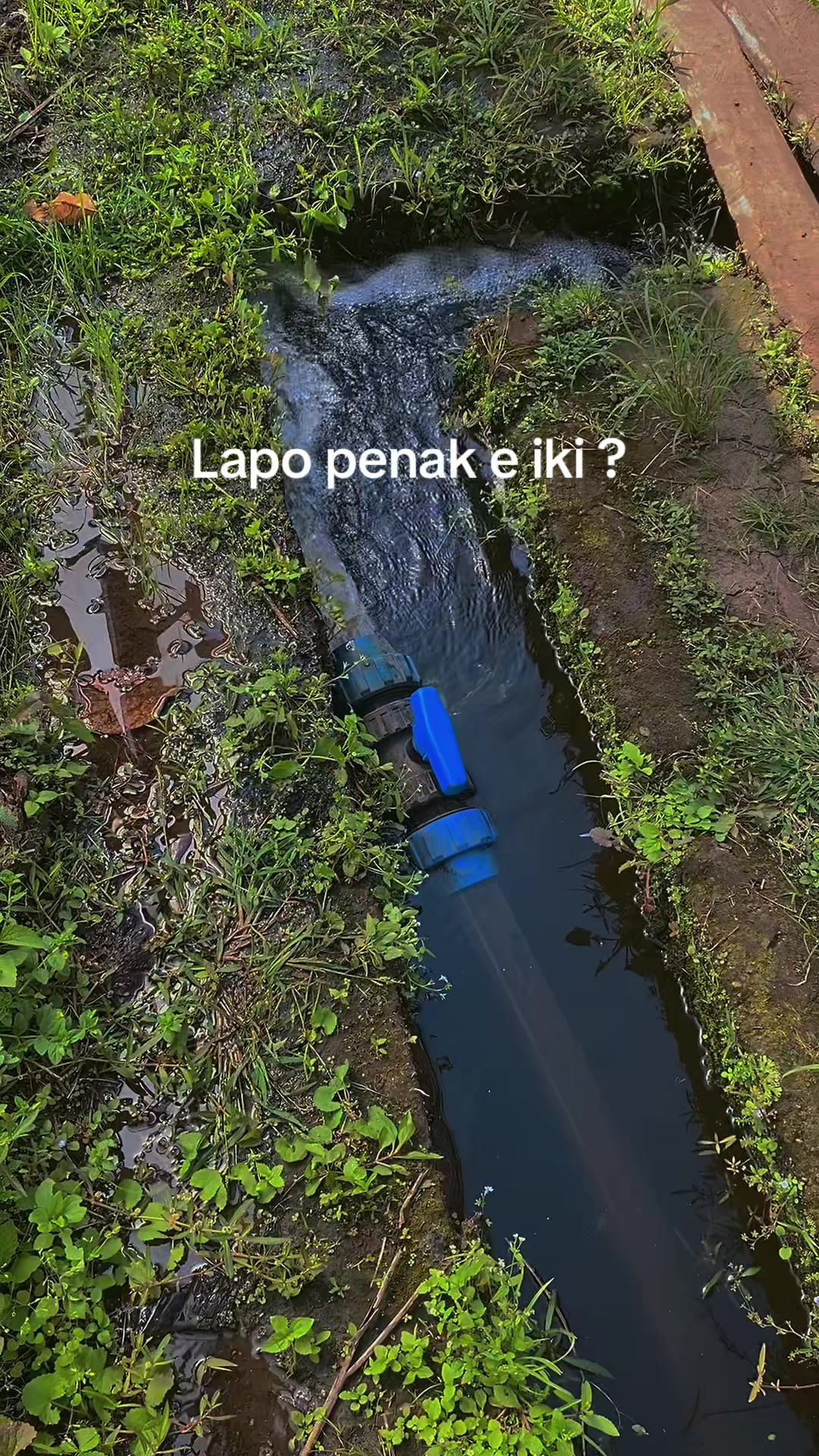 @erianggoro