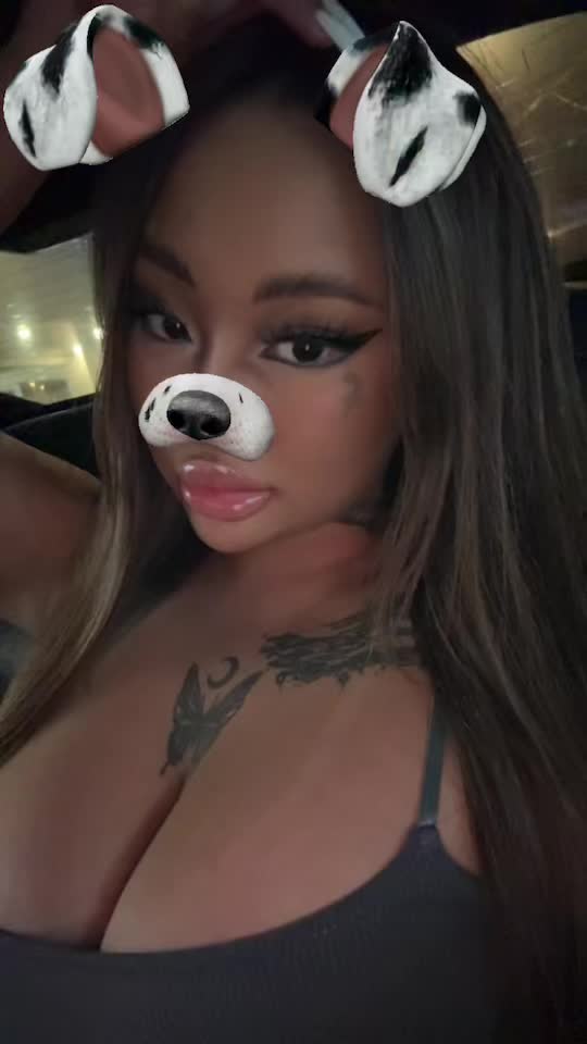 @HoliDaycjn