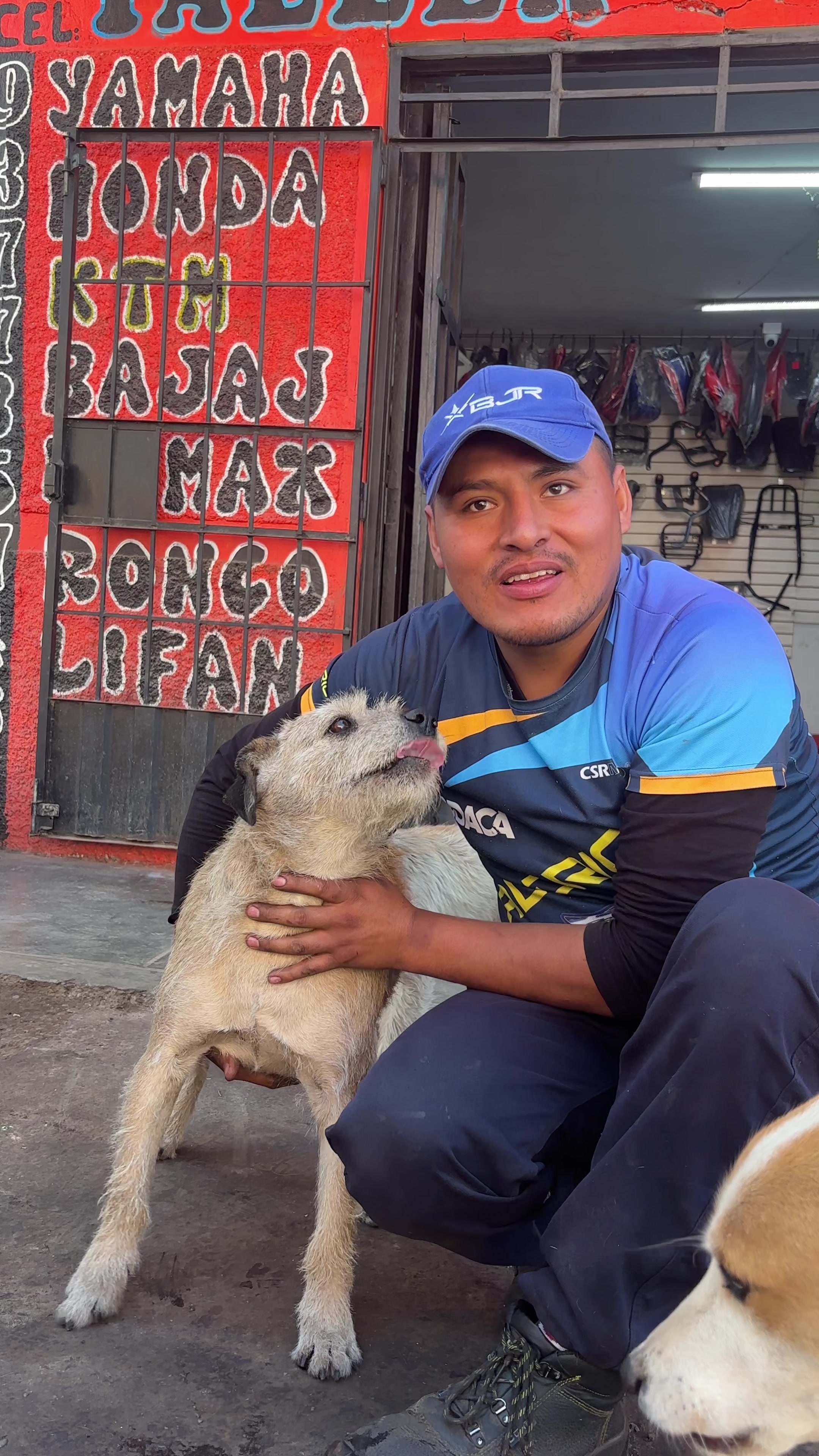 @Cabezotas 🐶