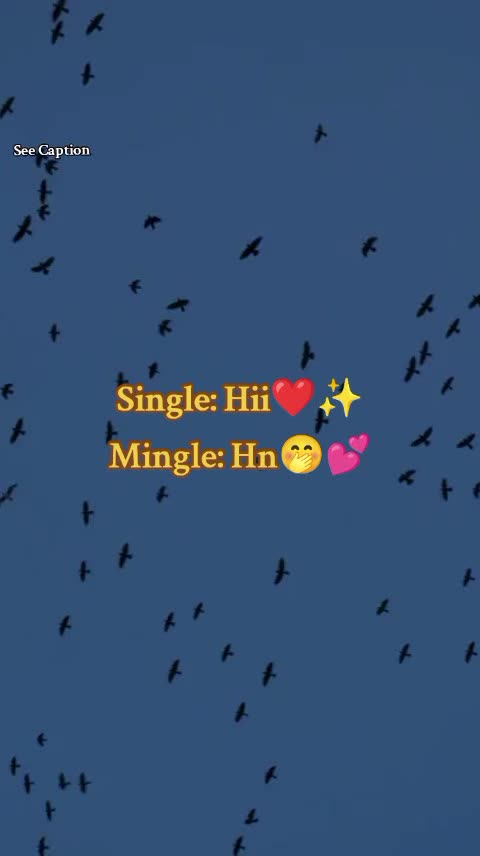 @[&deg;&bull;𝐈𝐭𝐳 𝐒𝐡&egrave;𝐡𝐫ī&deg;&bull;♡]^❤✨