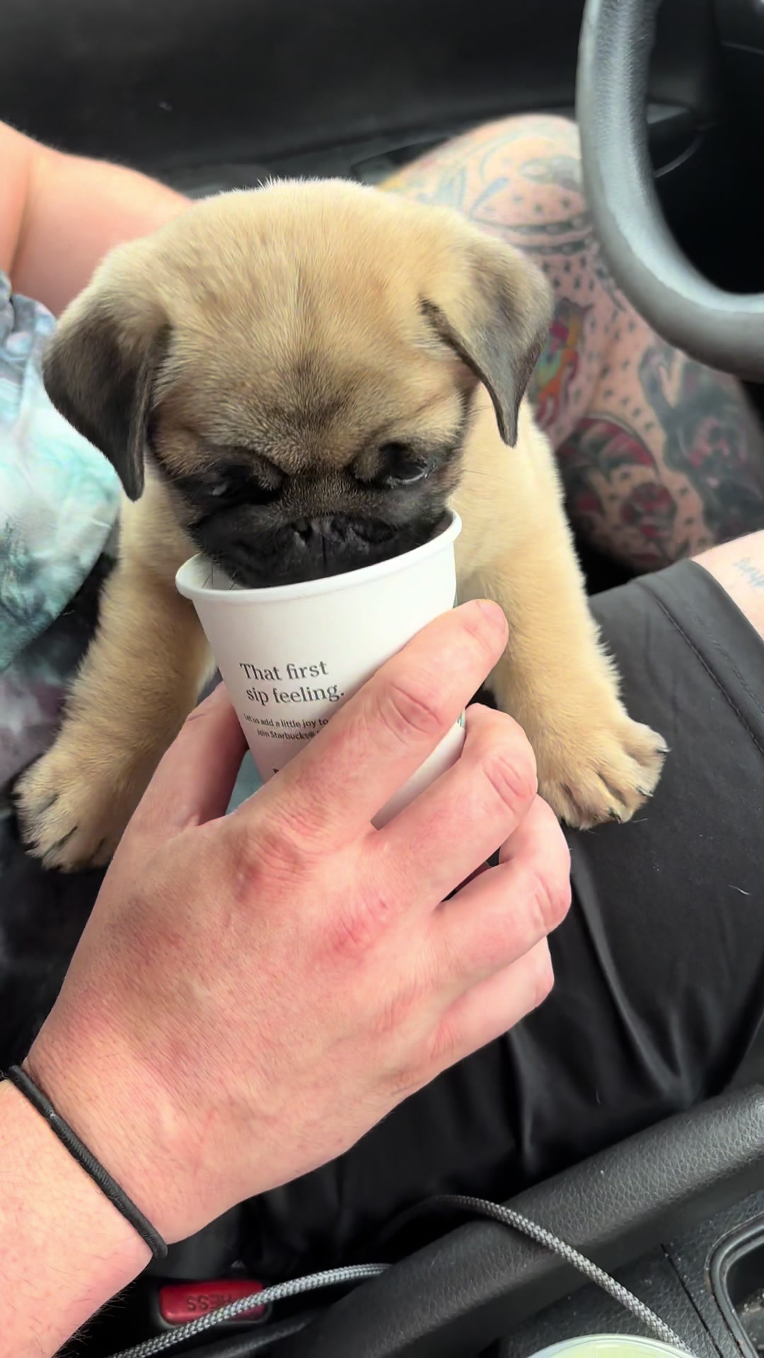 @thewinterpug