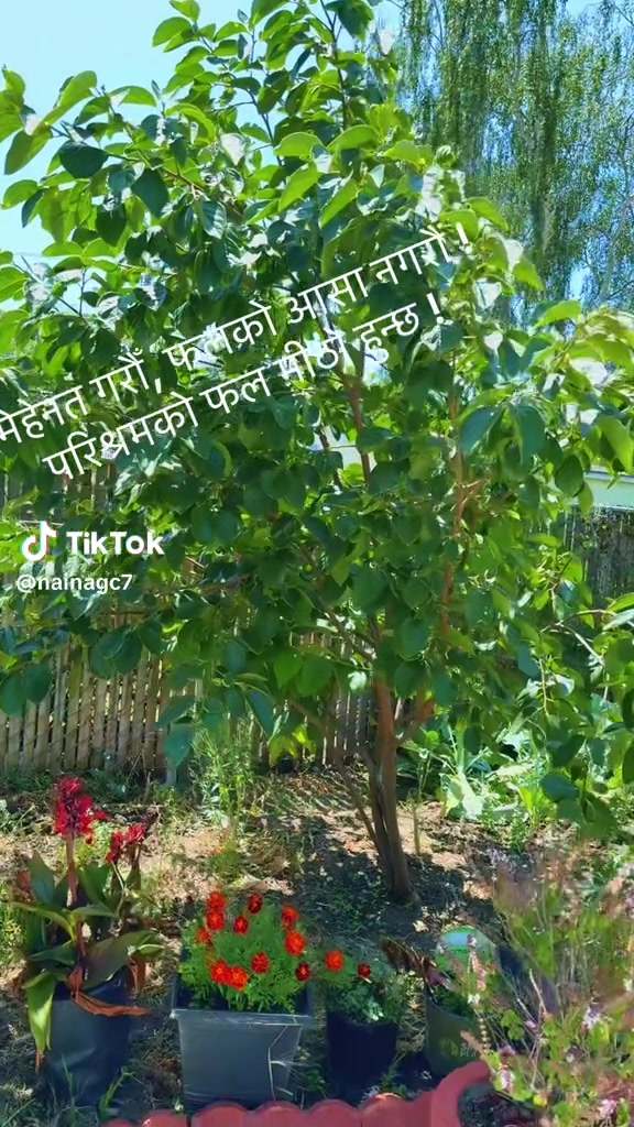 @Ramesh