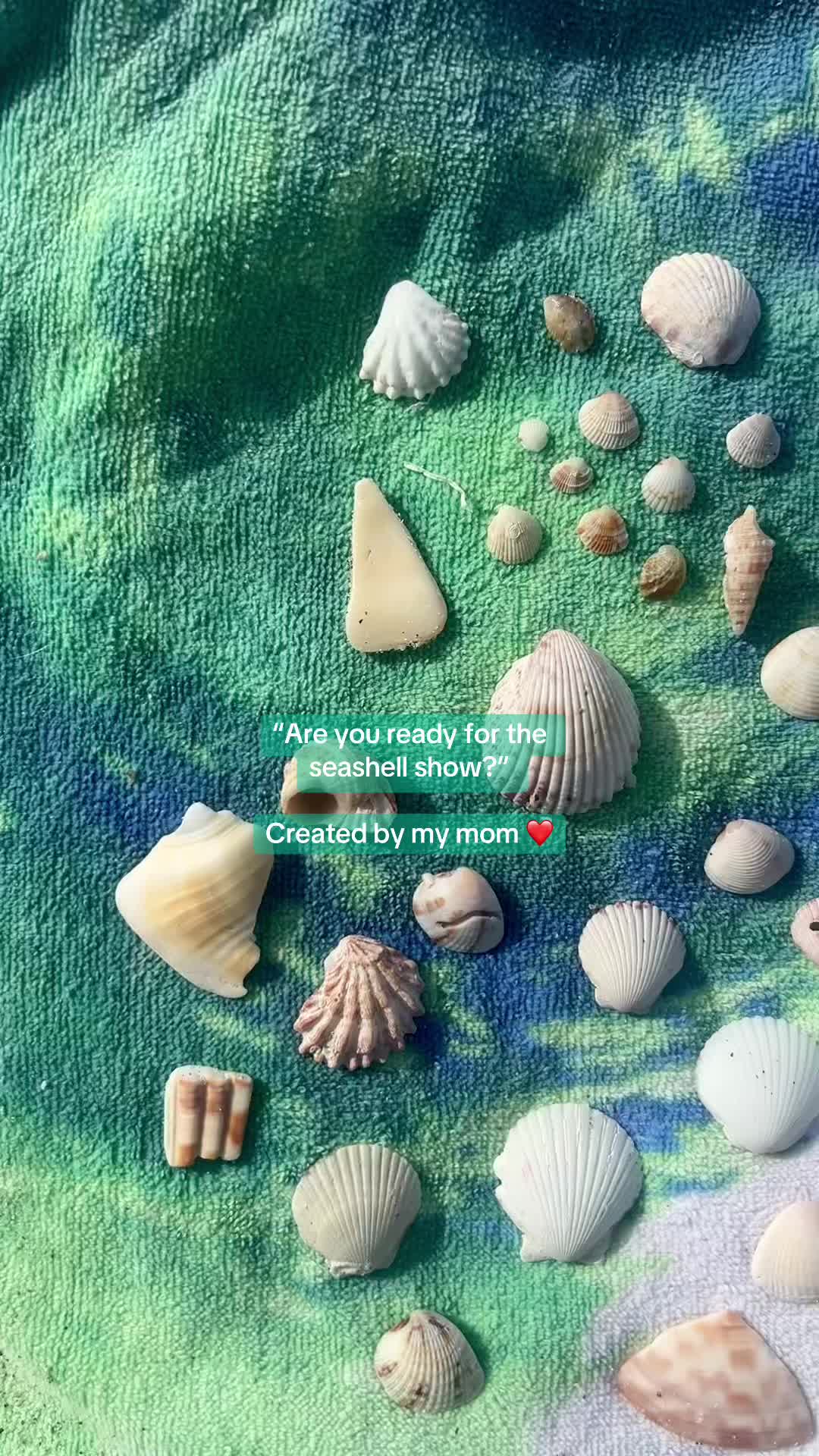 @Kait 🐚
