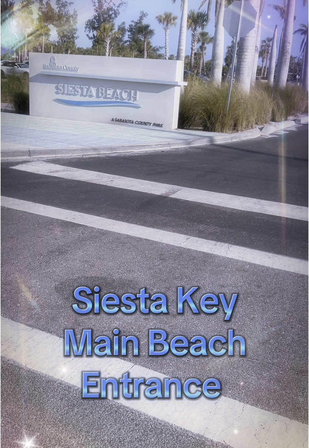 @Siesta Key Frog Hop