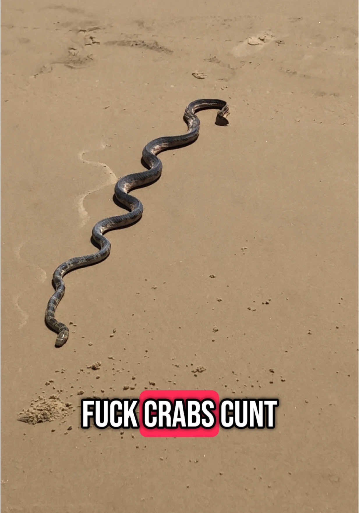 @TheRiverWarden