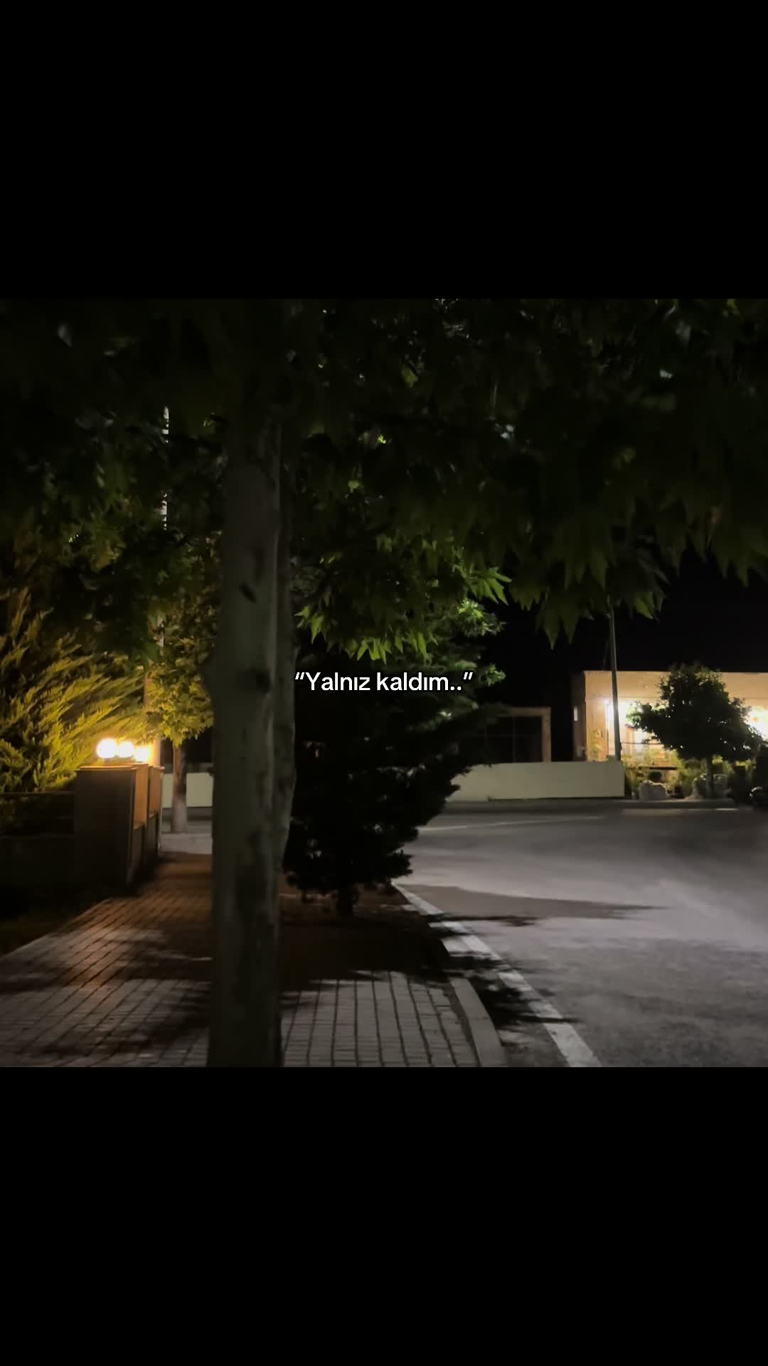 @Almemmedows⚡️
