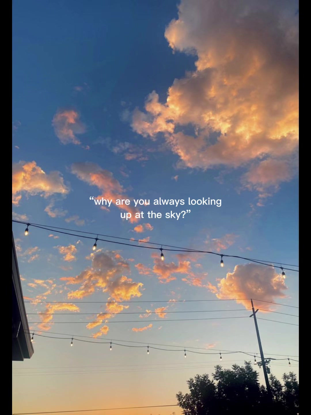 @✨🦋&bull;𝕝𝕒𝕦𝕣𝕒𝕒&bull;🦋✨