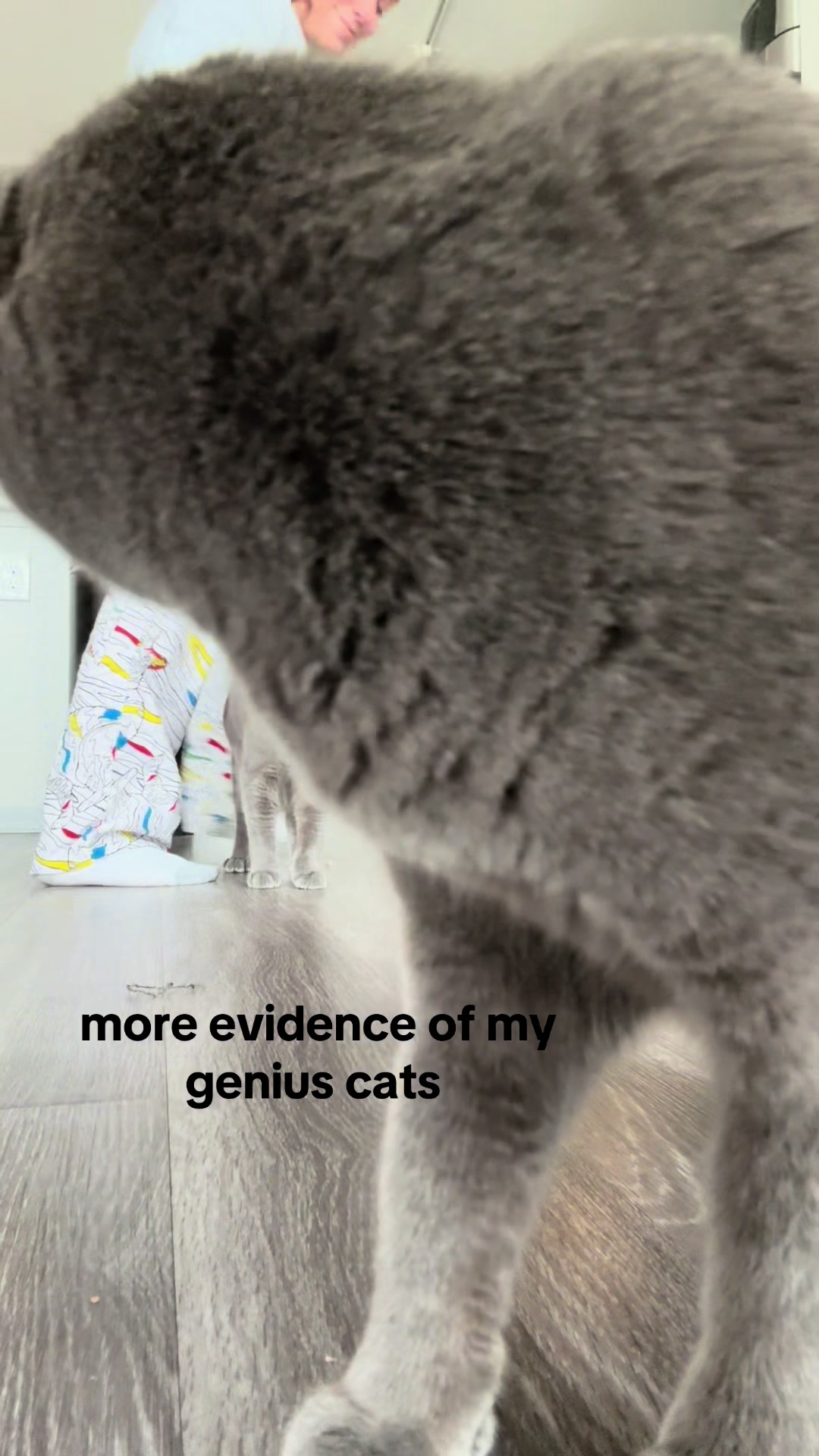 @emma 🧸