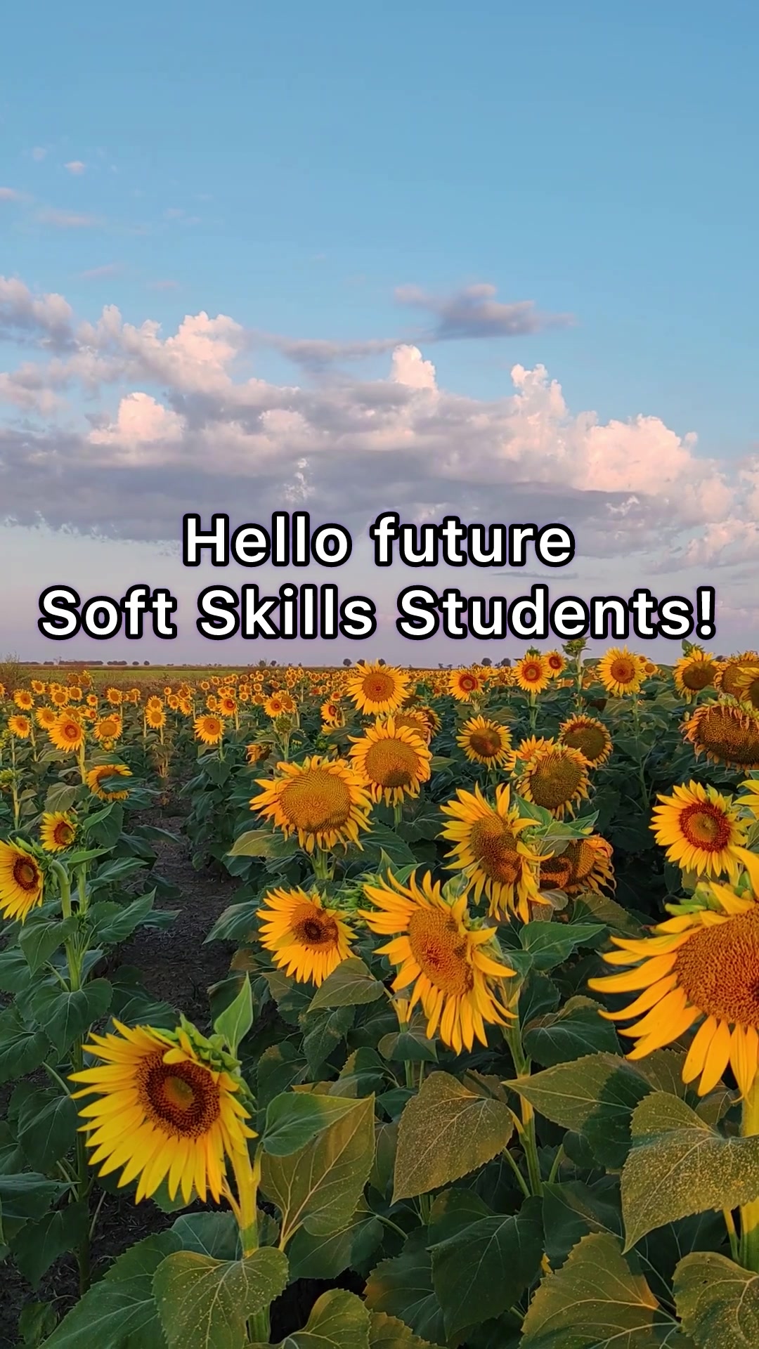 @Soft Skills