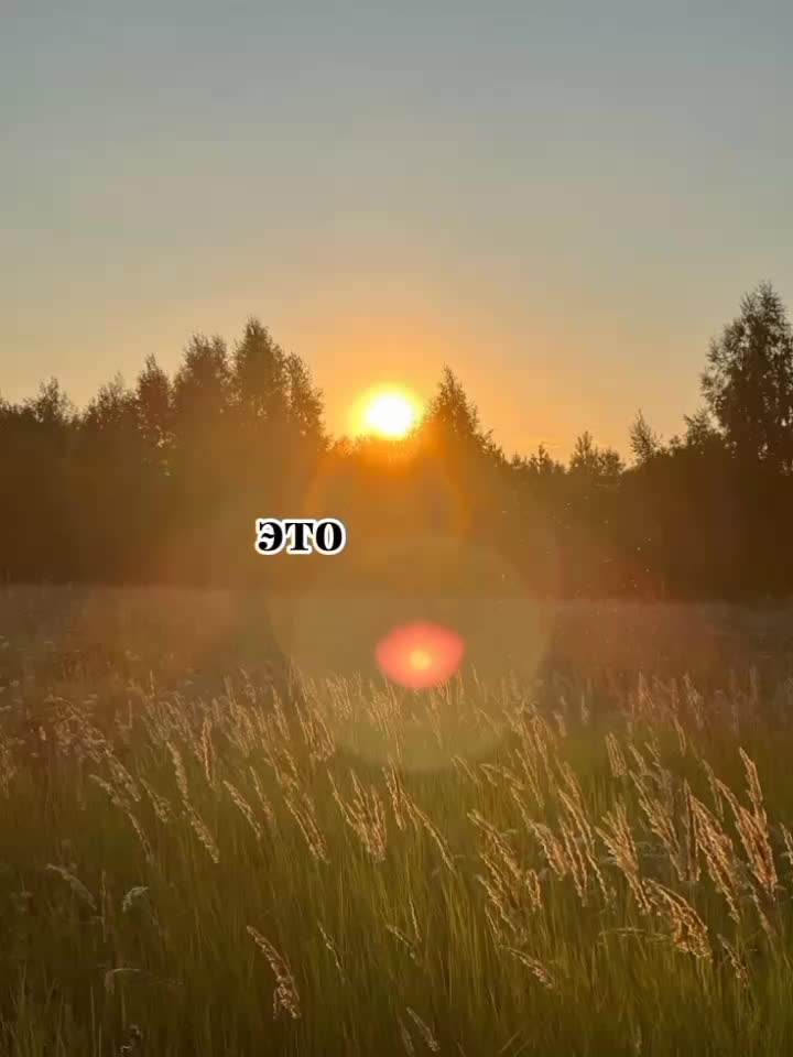 @xD@