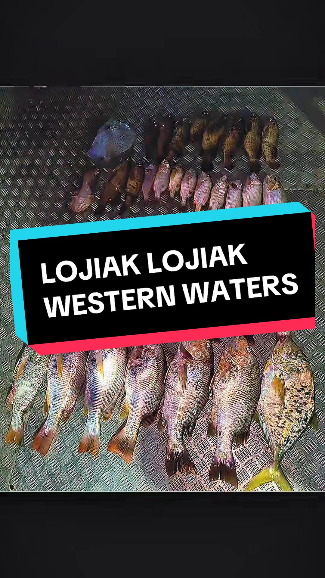 @FishwrexSG