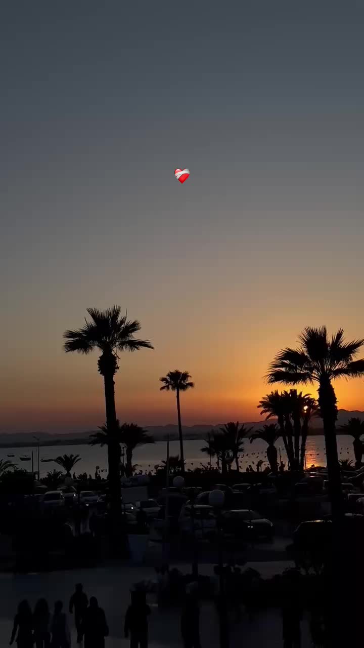 @tunivibes1