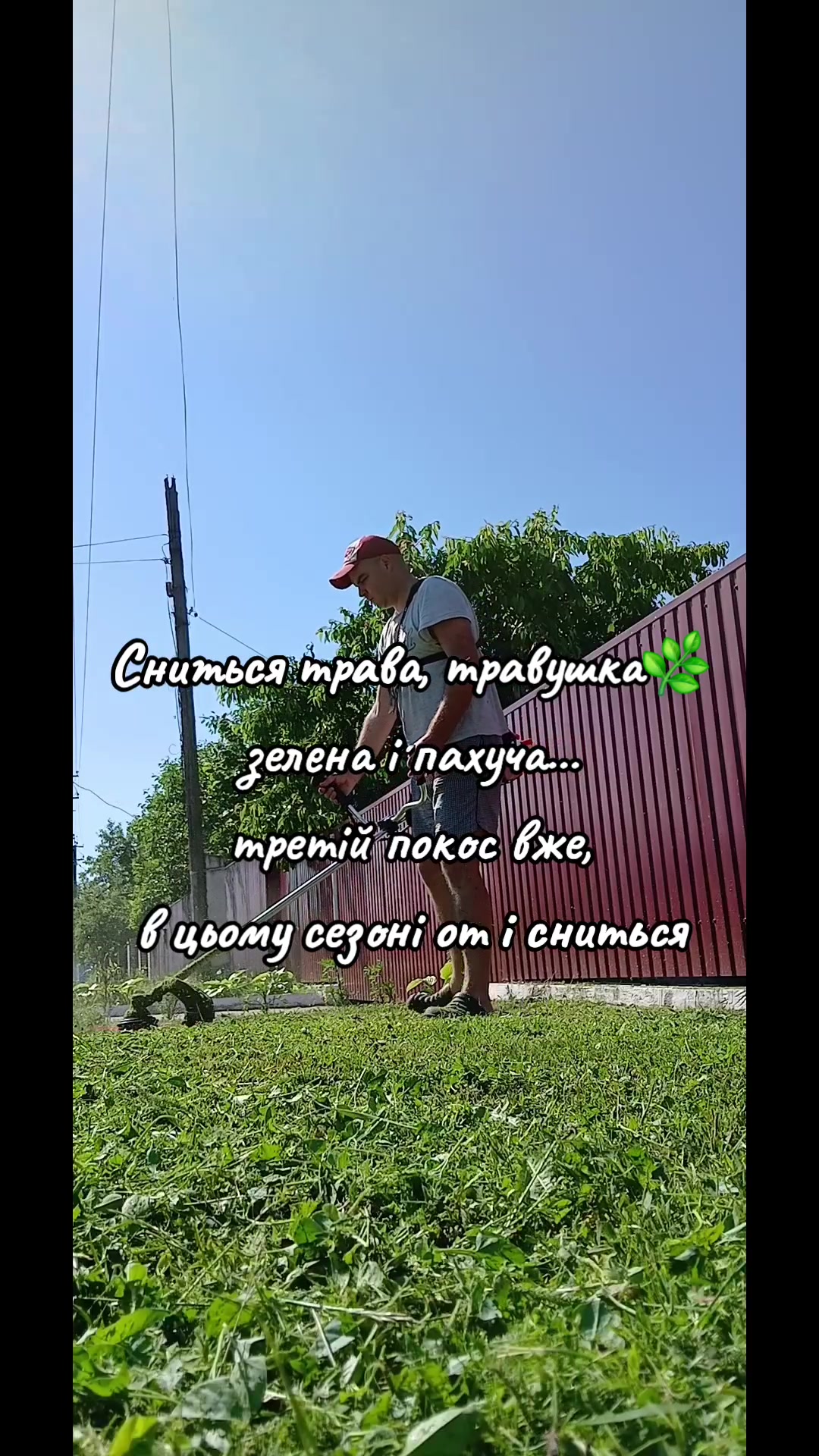 @o__oleksandr