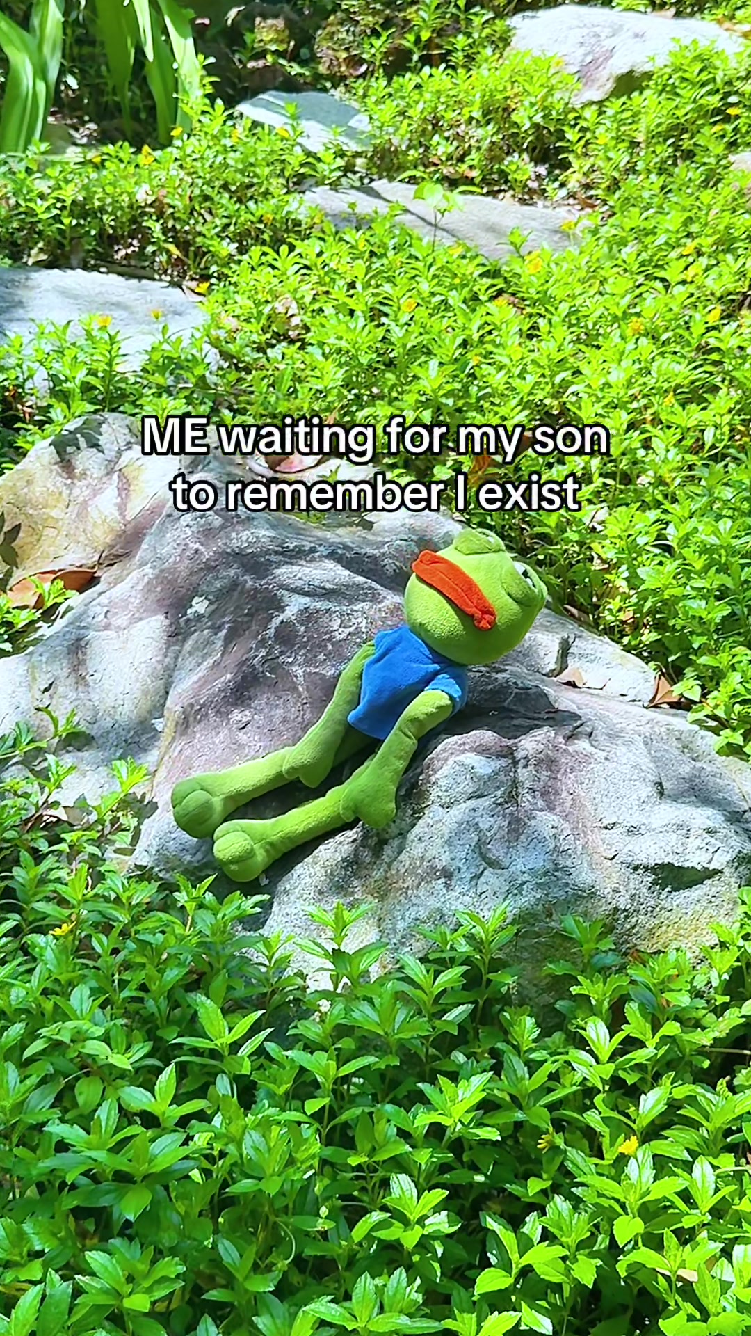 @AdoptAPepe