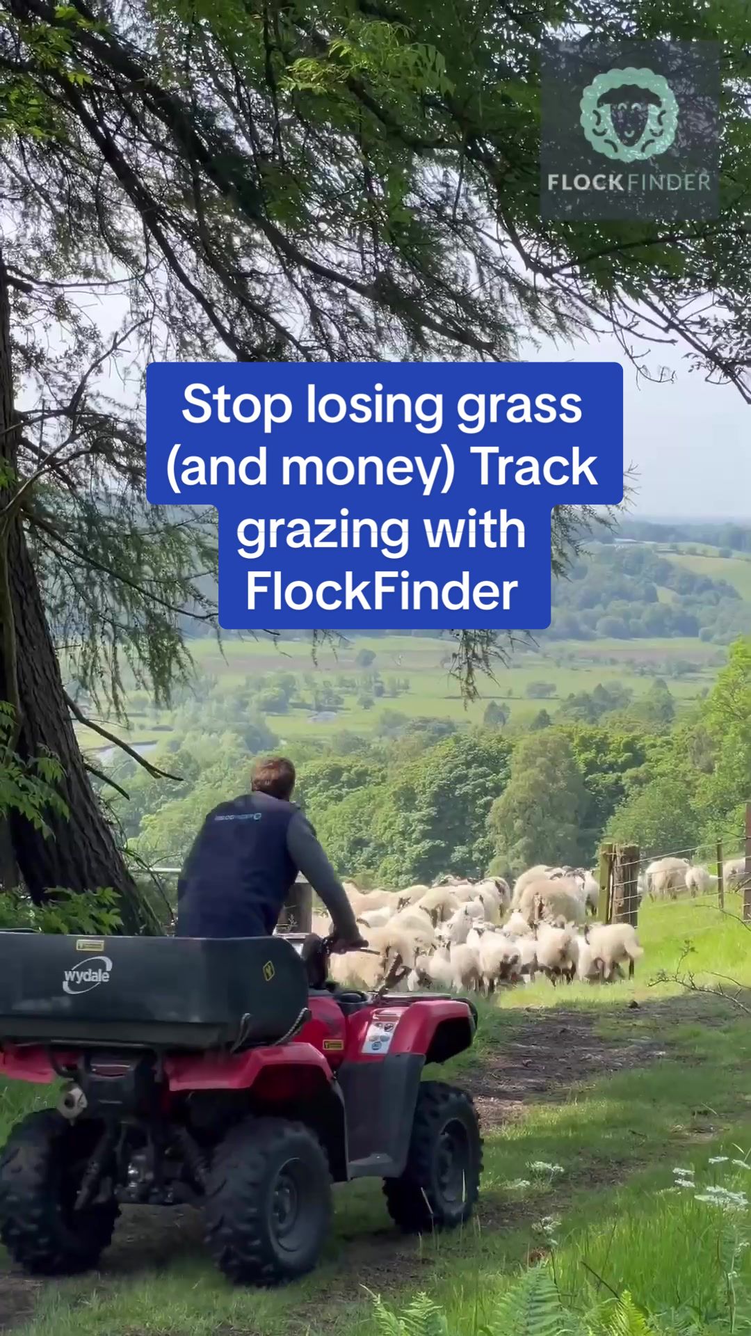 @FlockFinder