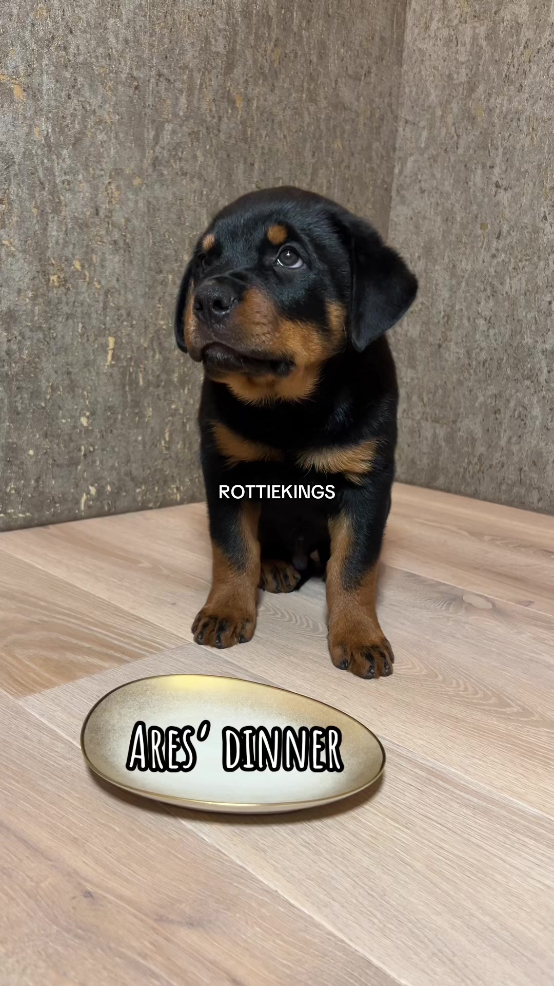 @HERA & ARES