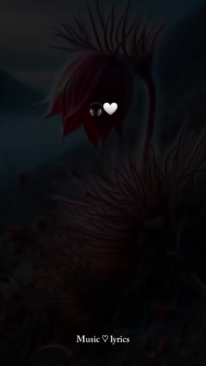 @ᴍᴜꜱɪᴄ ʟʏʀɪᴄꜱ