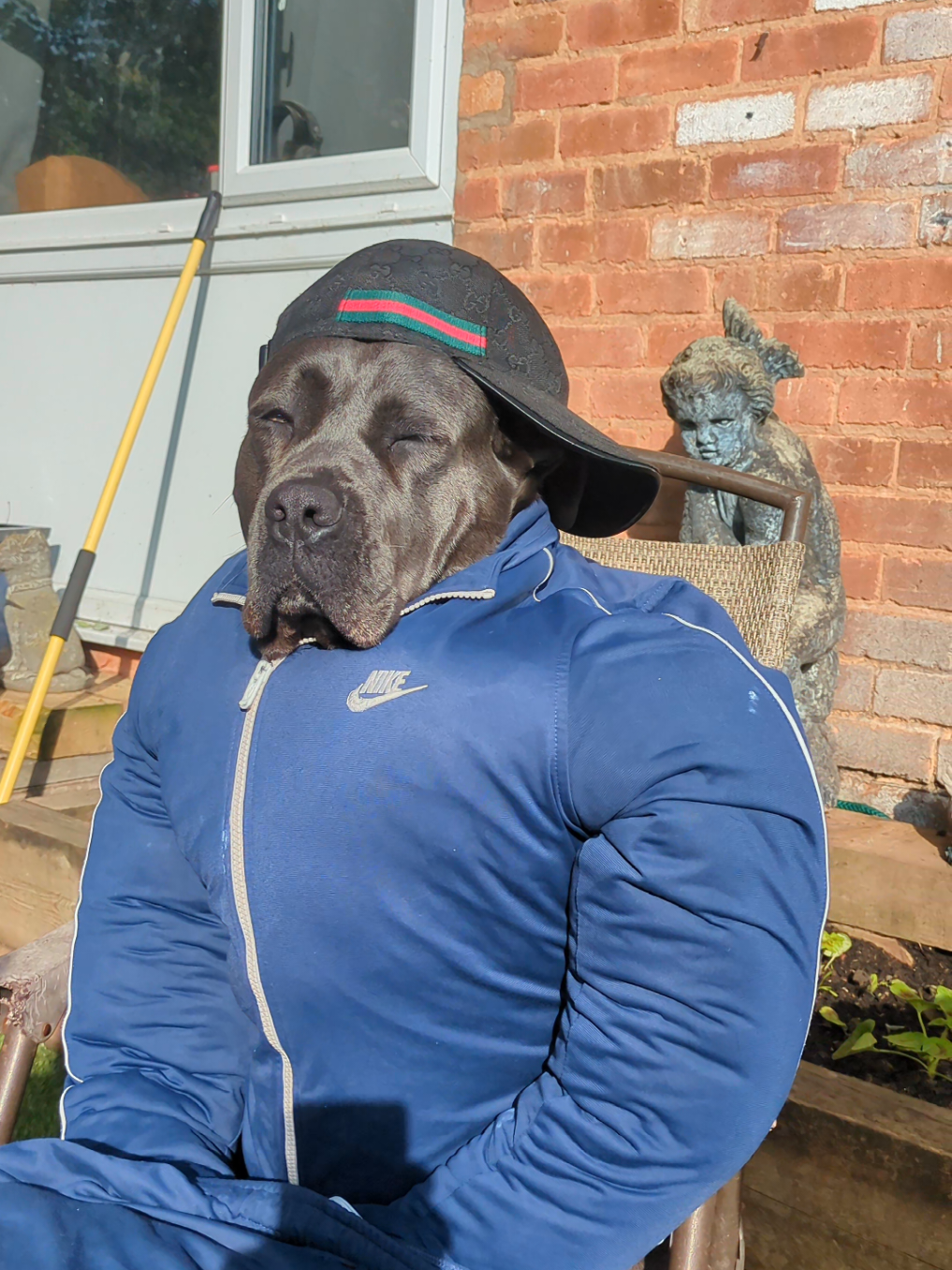 @mist_the_canecorso