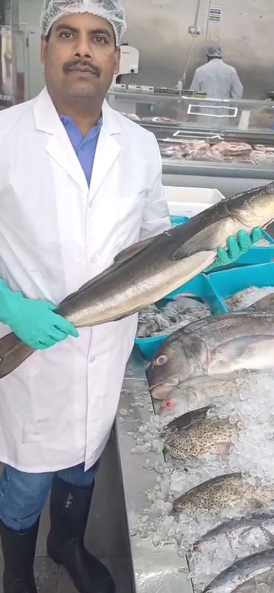 @Fishworld and Halal Meat