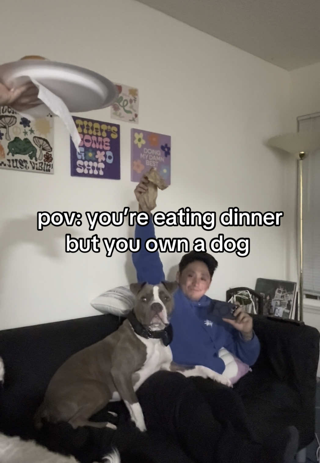 @arielle
