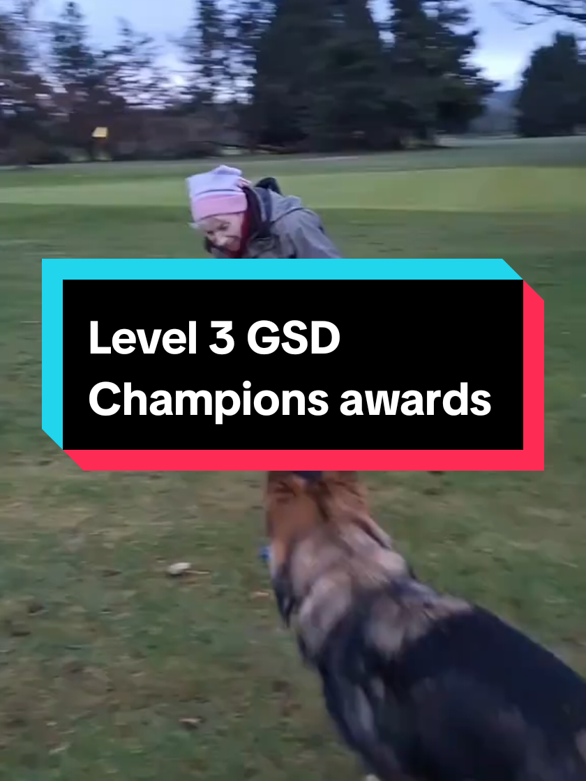 @Arnie 🇪🇺