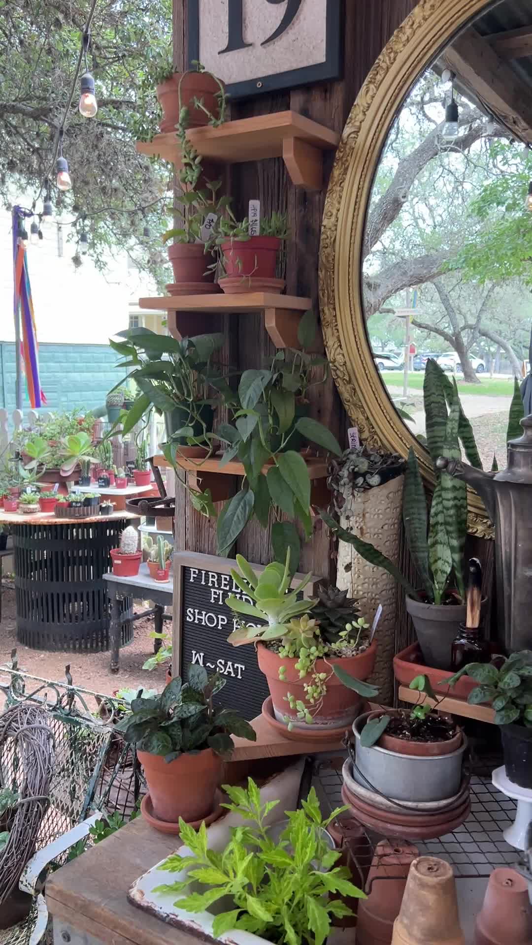 @firelightfinds