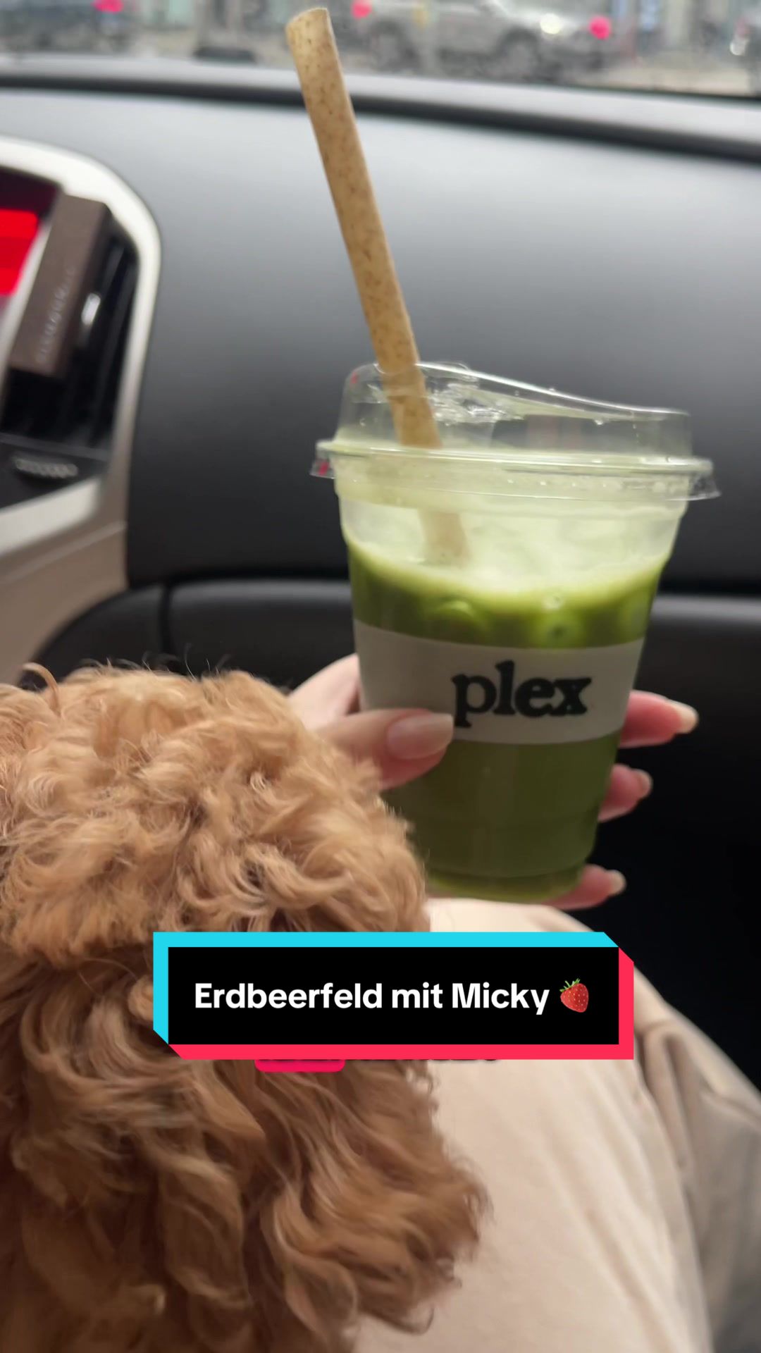 @mickythepoo