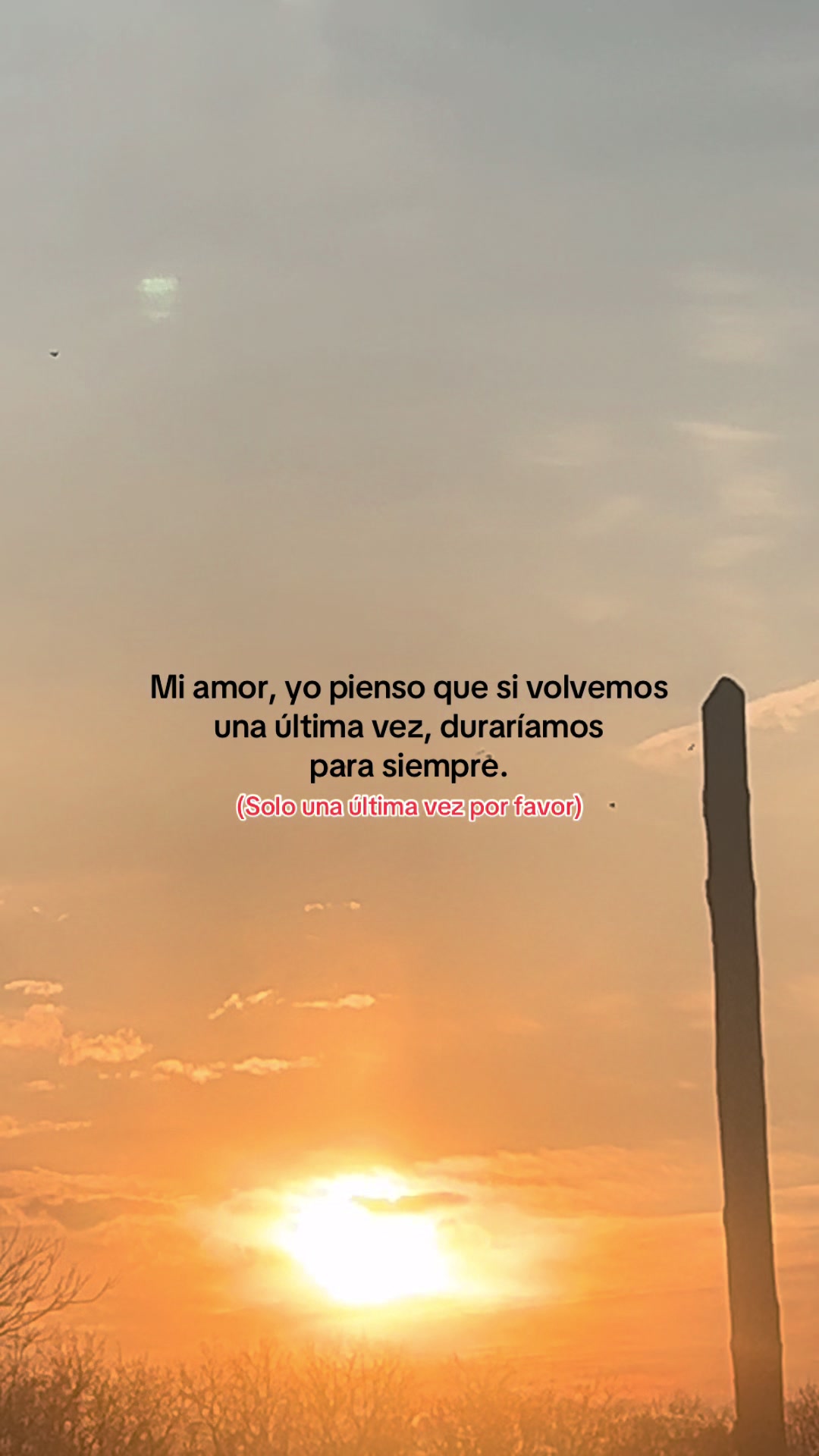 @Xavi