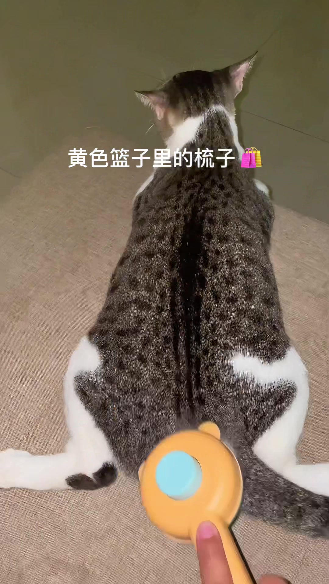 @three_muscateers