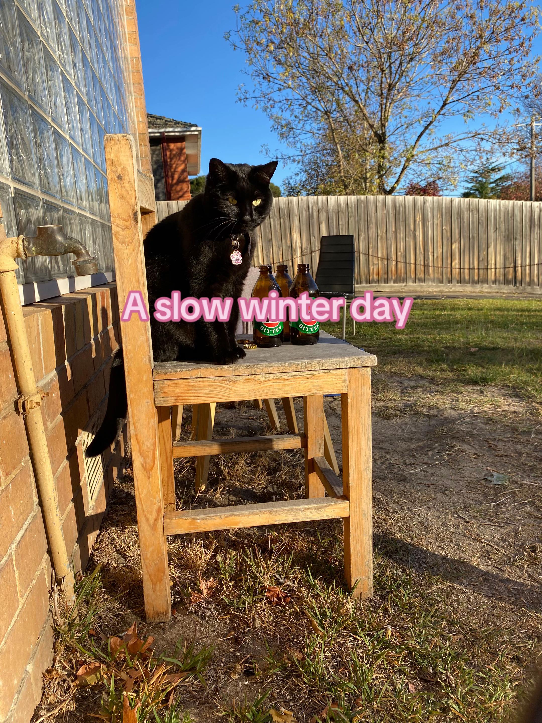 @cat