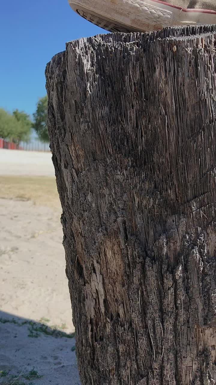 @Sanicia_k