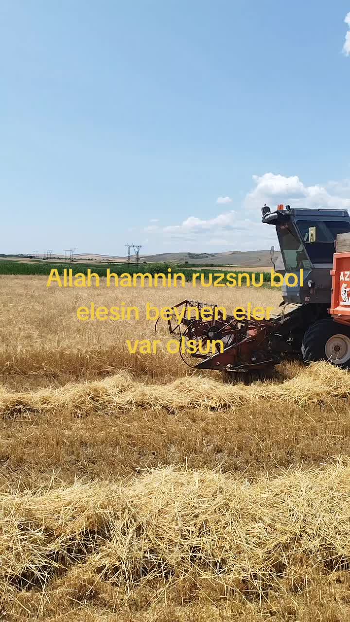 @Elgun889