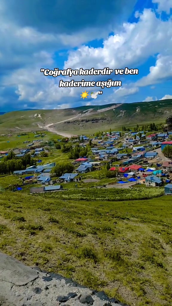 @sidar oral