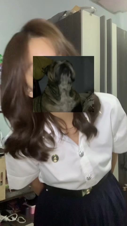 @สวนโพอย่างงี้ ต่อยกันม่ะ