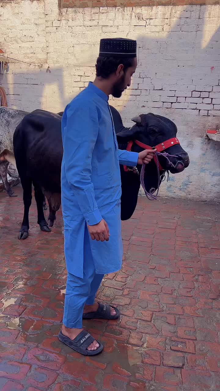 @🥂 WHY MOHSIN 🥂