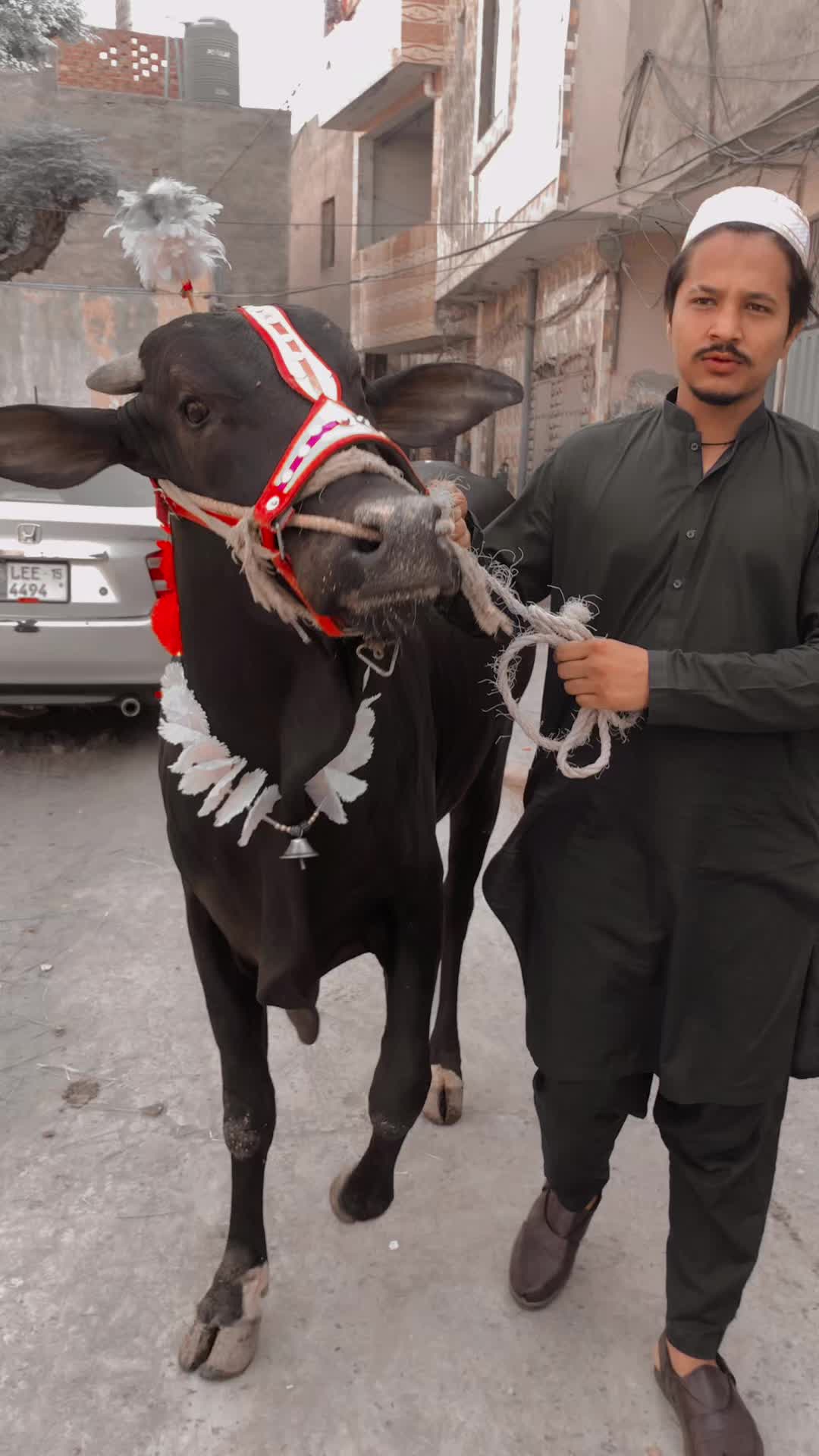 @aligujjar564
