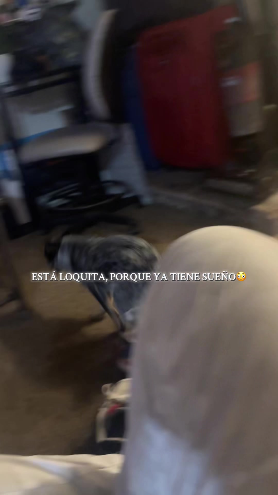 @Gus_Gus