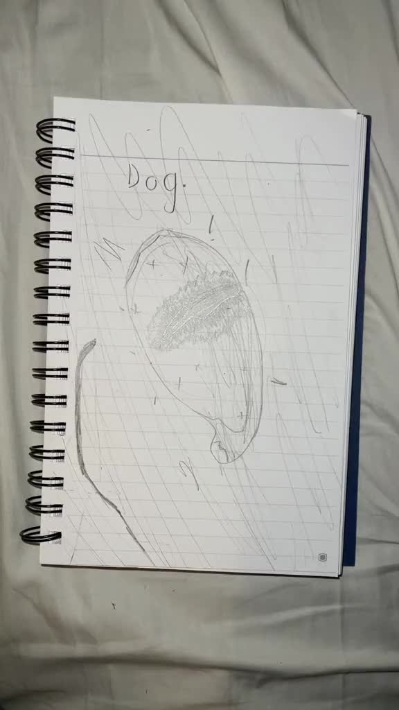 @fish.