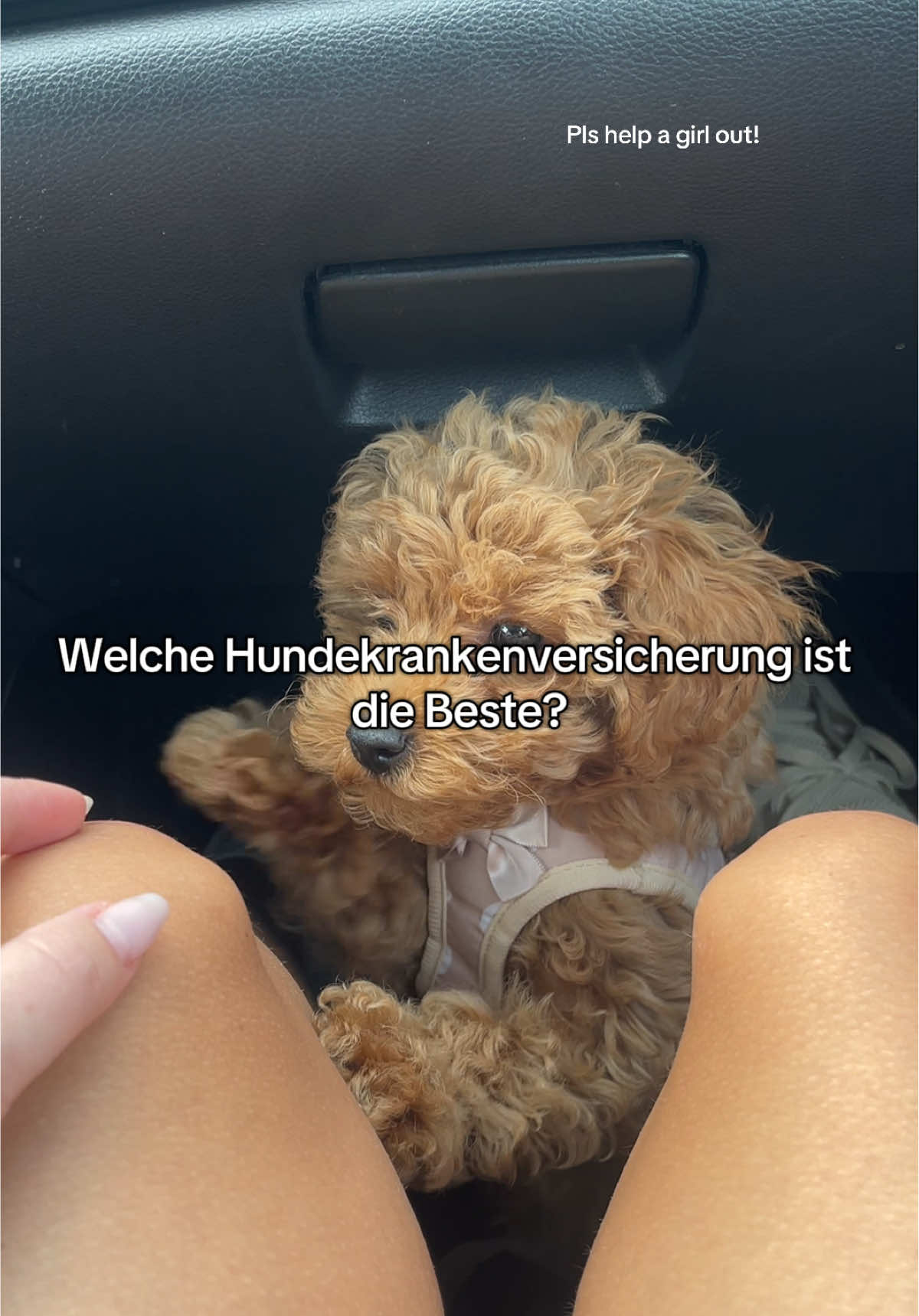 @mickythepoo