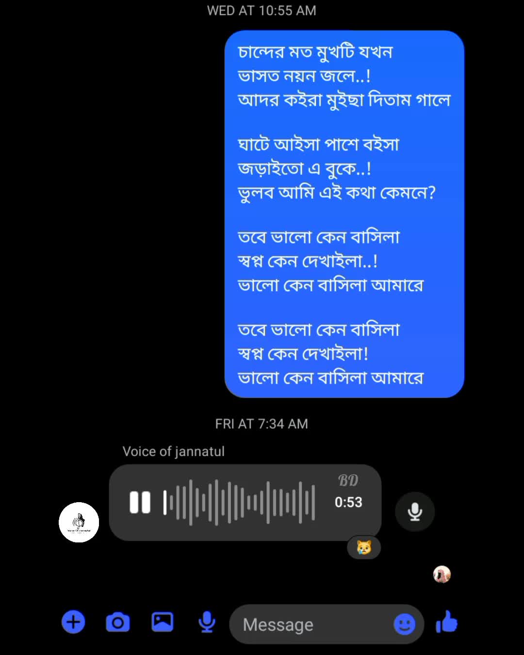 @Voice Of Jannatul