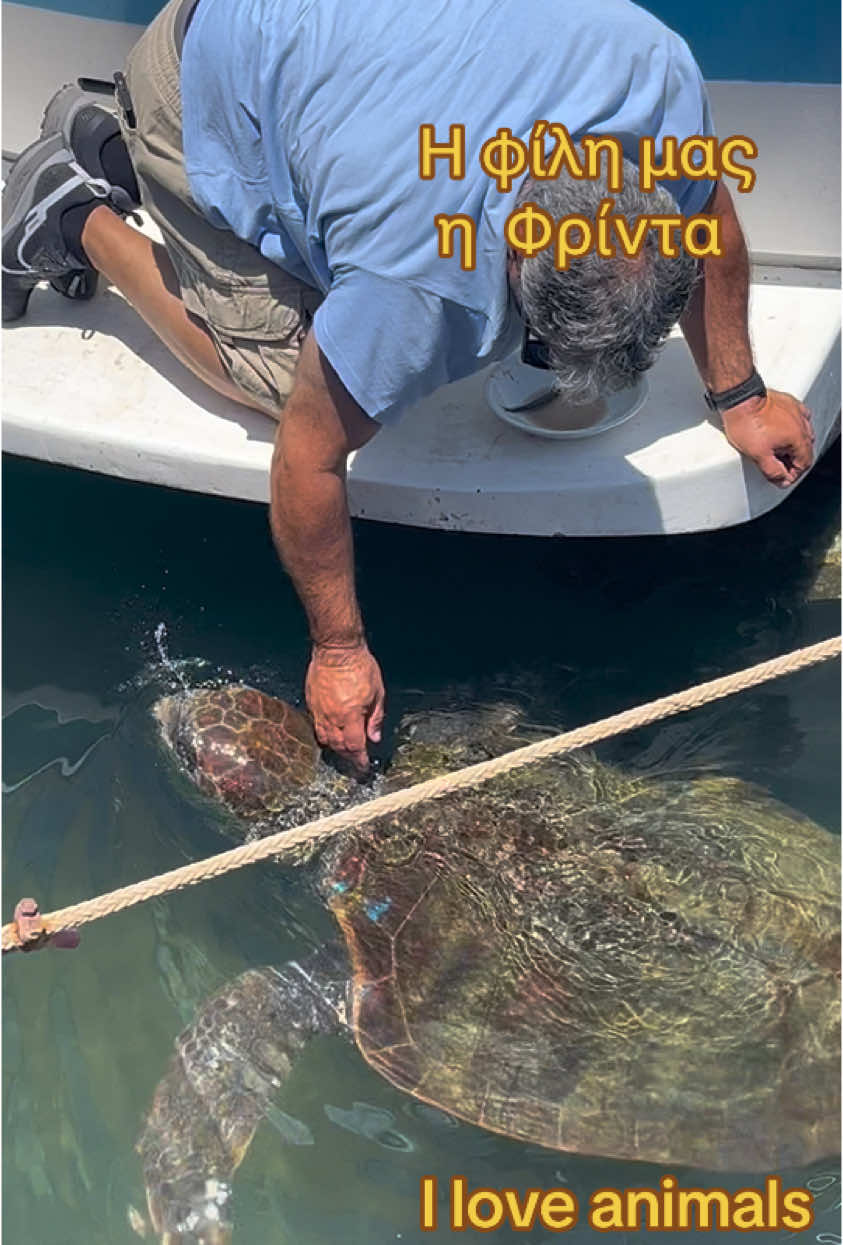 @stelios_kalathas