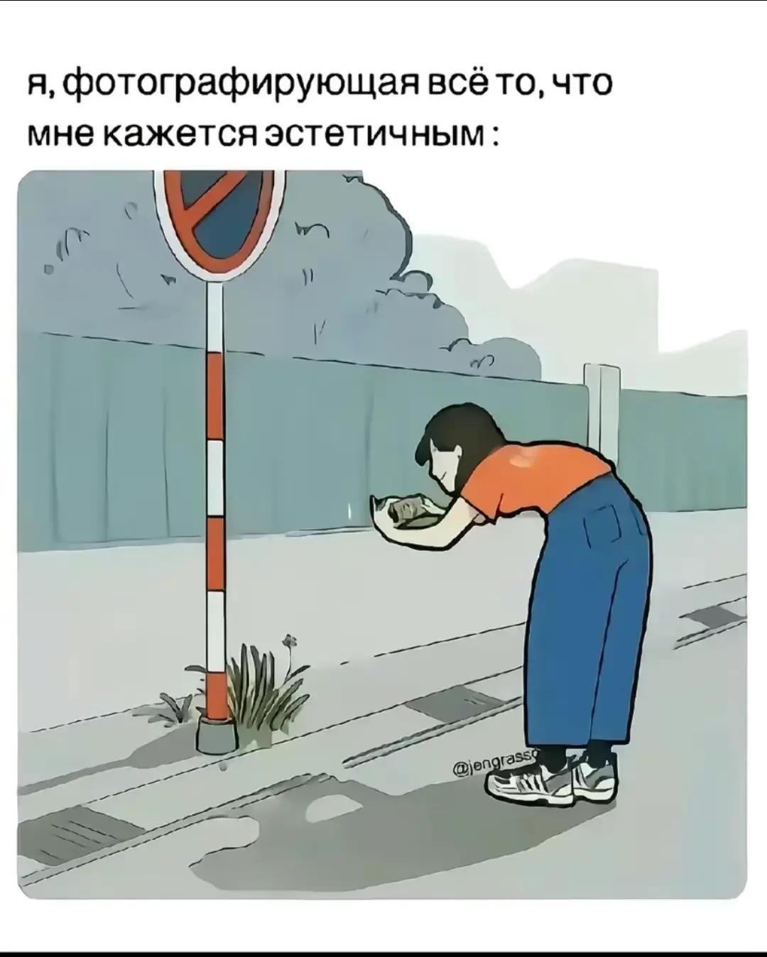 @мамедова